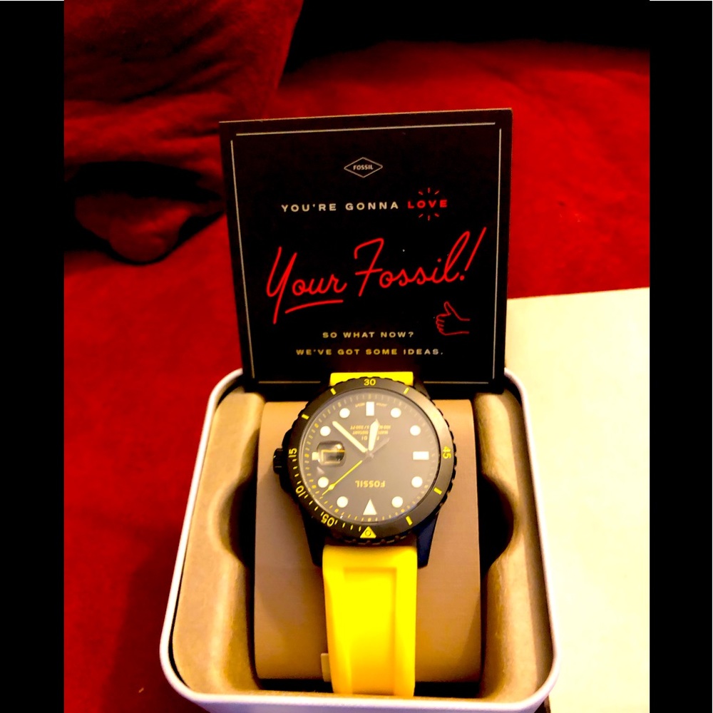 Brand New Fossil Watch